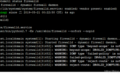 如何利用端口查看命令检测潜在风险端口？