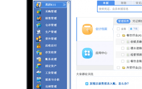 金蝶软件服务器承担哪些关键功能？
