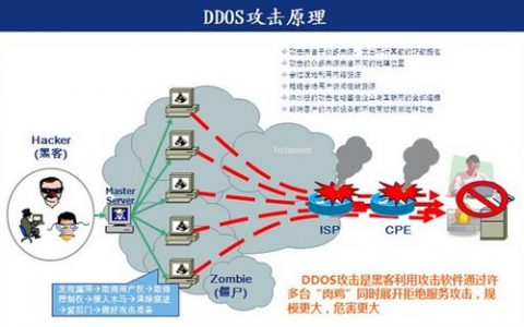 如何有效抵抗DDoS攻击并深入了解其原理？
