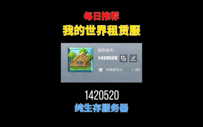 我的世界服务器都是什么用