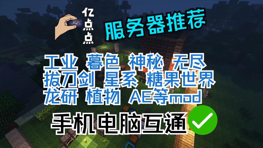 我的世界服务器都是什么用