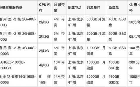 Flexus应用服务器L实例提供哪些2GB内存的套餐选项？