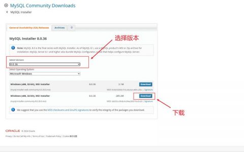 如何优化服务器上的MySQL配置以提升性能？