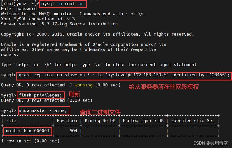服务器mysql配置_MySQL配置