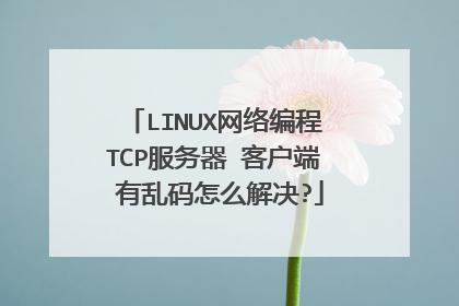 电脑做tcp服务器或者客户端_开始使用