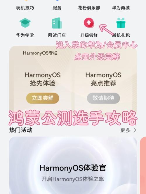 鸿蒙下载app连接服务器失败是为什么