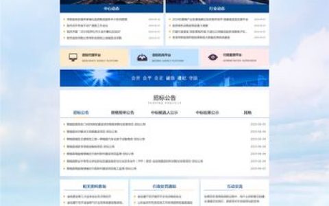 如何有效设置和优化单位网站模板？