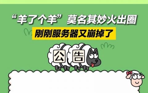 羊了个羊开发服务器究竟指的是什么？