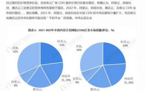 东南亚内容分发网络CDN服务的成本效益如何？