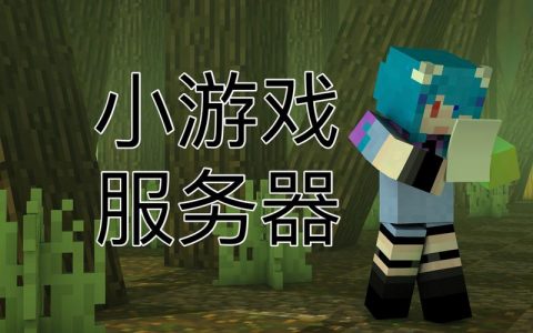 揭秘小游戏背后的神秘力量，游戏服务器究竟扮演什么角色？