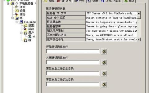 如何配置Serviu FTP服务器以提高数据传输安全性和效率？