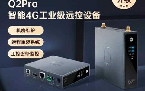 服务器向日葵的外观特征有哪些？