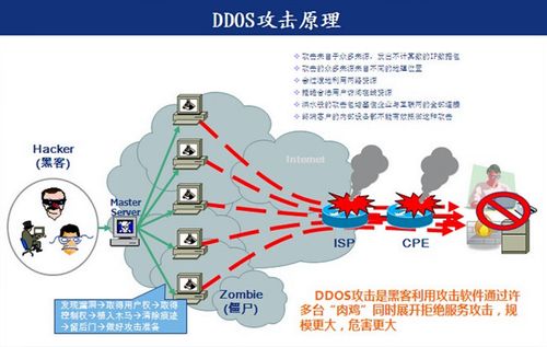 ddos攻击cdn_了解DDoS攻击