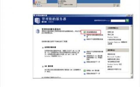 如何高效配置与管理服务器，关键策略与习题库解析？