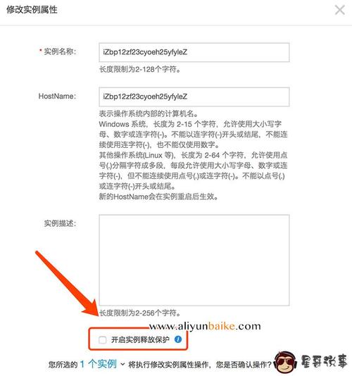ecs实例登陆密码_启动ECS实例