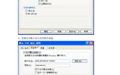 如何查询FTP服务器的地址？
