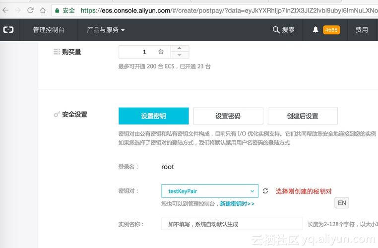 ECS识别码_ECS
