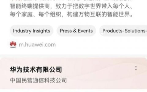 华为如何通过开源搜索引擎提升其技术竞争力？