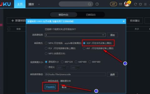 如何高效进行电脑视频转码？