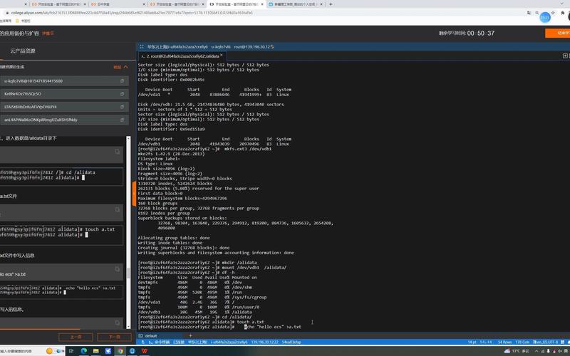 ecs数据盘扩容_扩容数据盘