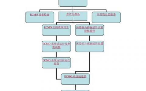 如何高效搭建ECS系统，详细流程指南？