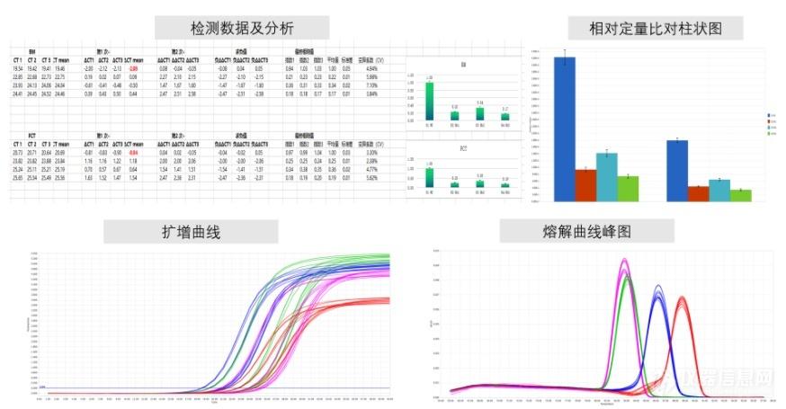 定量数据分析_数据分析