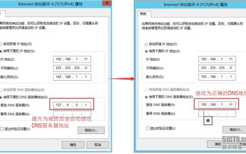 如何正确配置服务器局域网中的DNS设置？