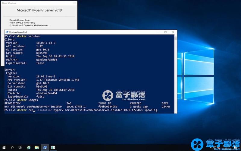服务器 系统好_服务器/终端（Windows操作系统）
