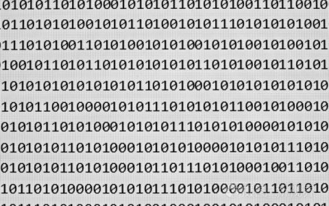 如何有效地处理和存储二进制图片在ASP.NET中的二进制类型数据？