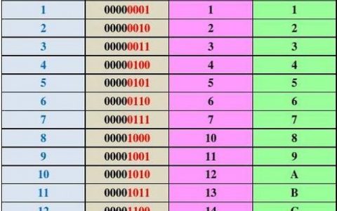 如何应用二进制算法公式解决实际问题？