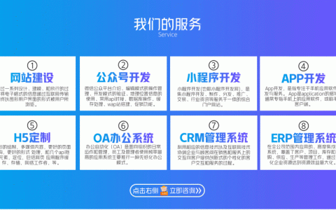 如何确保服务网站开发项目的成功与高效执行？
