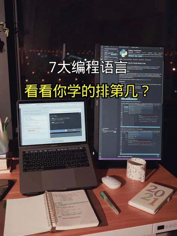 大学编程语言_其他编程语言
