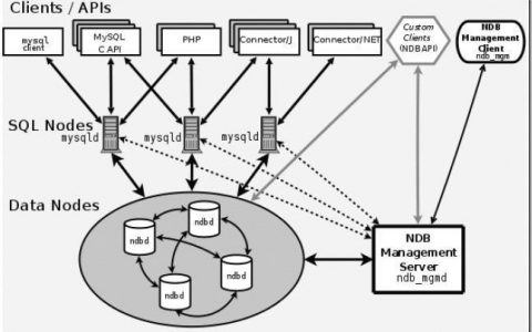 如何通过ecli命令行工具成功连接MySQL数据库？