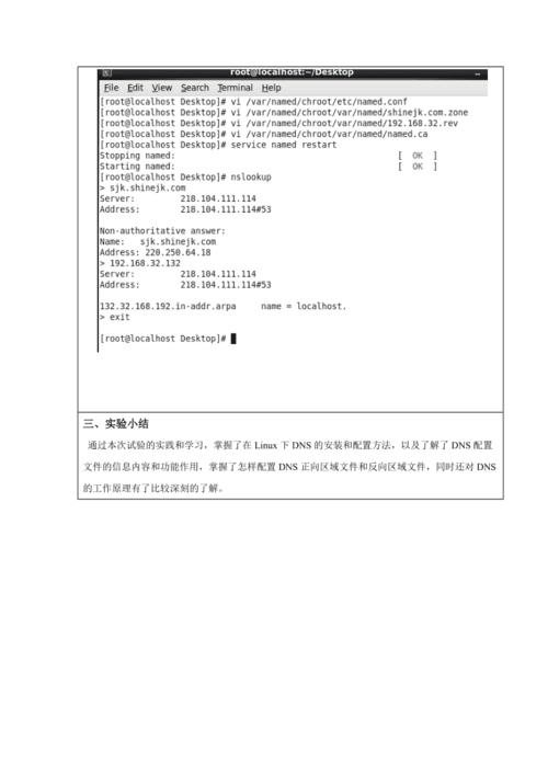 dns服务器安装与配置实验报告_检查与配置DNS信息