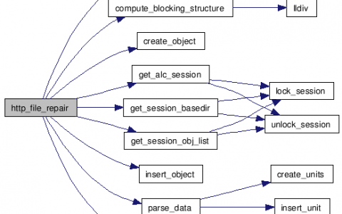 function_graph 和 function 在编程中有什么不同？