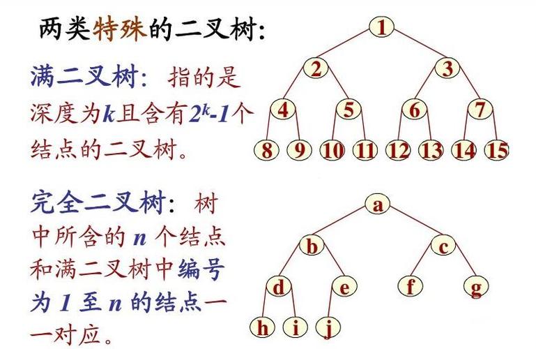 二叉树排序树规则 _排序规则