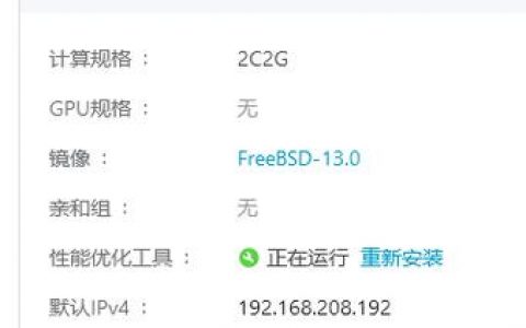FreeBSD主机在现代服务器环境中的优势和挑战是什么？