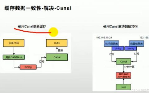分布式缓存技术深度解析，Redis如何优化数据存取效率？