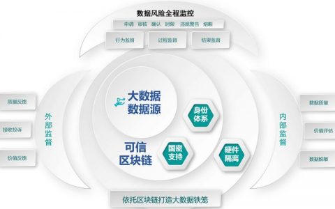 大数据和区块链技术如何共同推动大容量数据库的发展？