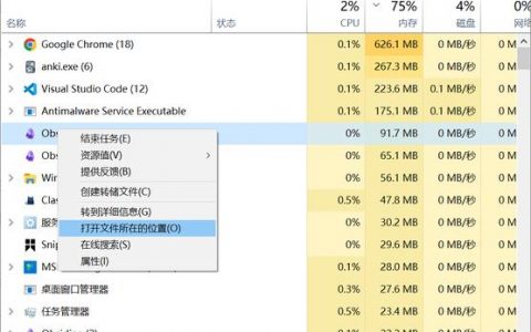 如何通过端口查看指令来检测风险端口？