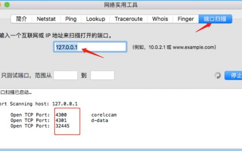 如何安全地检查电脑中潜在的风险端口？