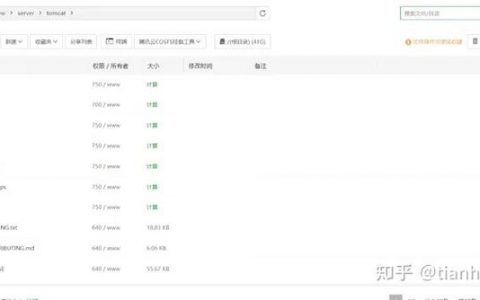 如何优化Linux服务器上的Tomcat配置以提高性能？