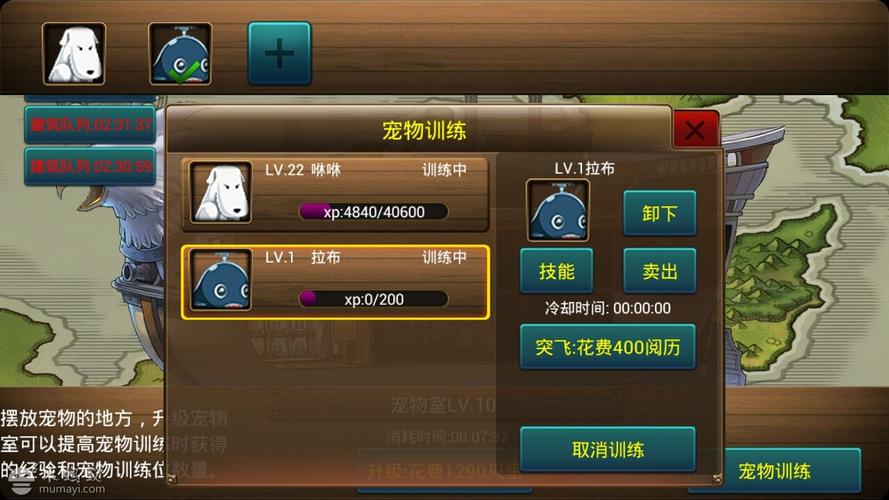 服务器大全_宠物大全