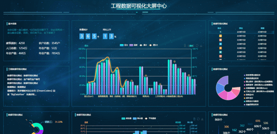 大数据的管理_管理大屏