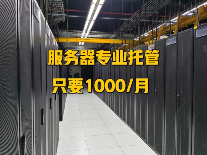 服务器托管厦门_应用托管
