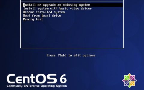 如何在Linux服务器上安装Agent？