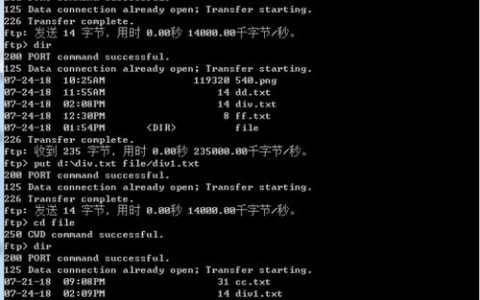 如何正确使用FTP服务器的SIZE命令来获取文件大小？