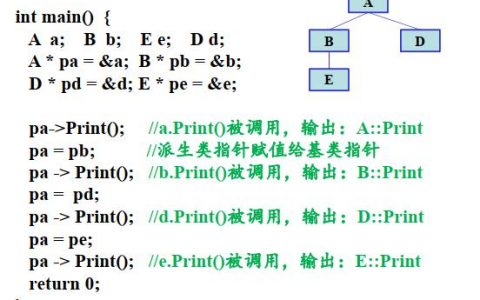 多态和虚函数在编程中是如何协同工作的？