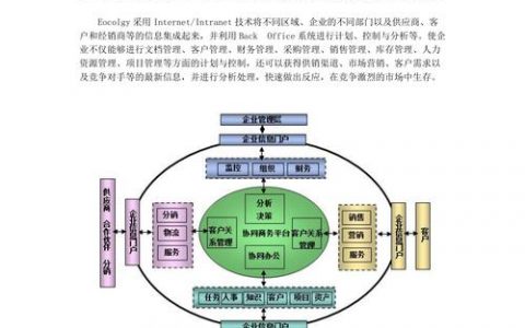 泛微Ecology方案如何满足现代企业协作与管理需求？