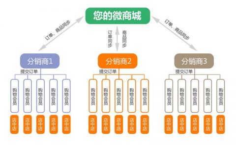如何成功建立并实施一个高效的分销网站计划？